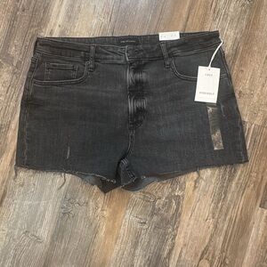 NWT Free Assembly 90s Cut Off Women’s 14‎ High Waisted Black Gray Shorts Raw Hem